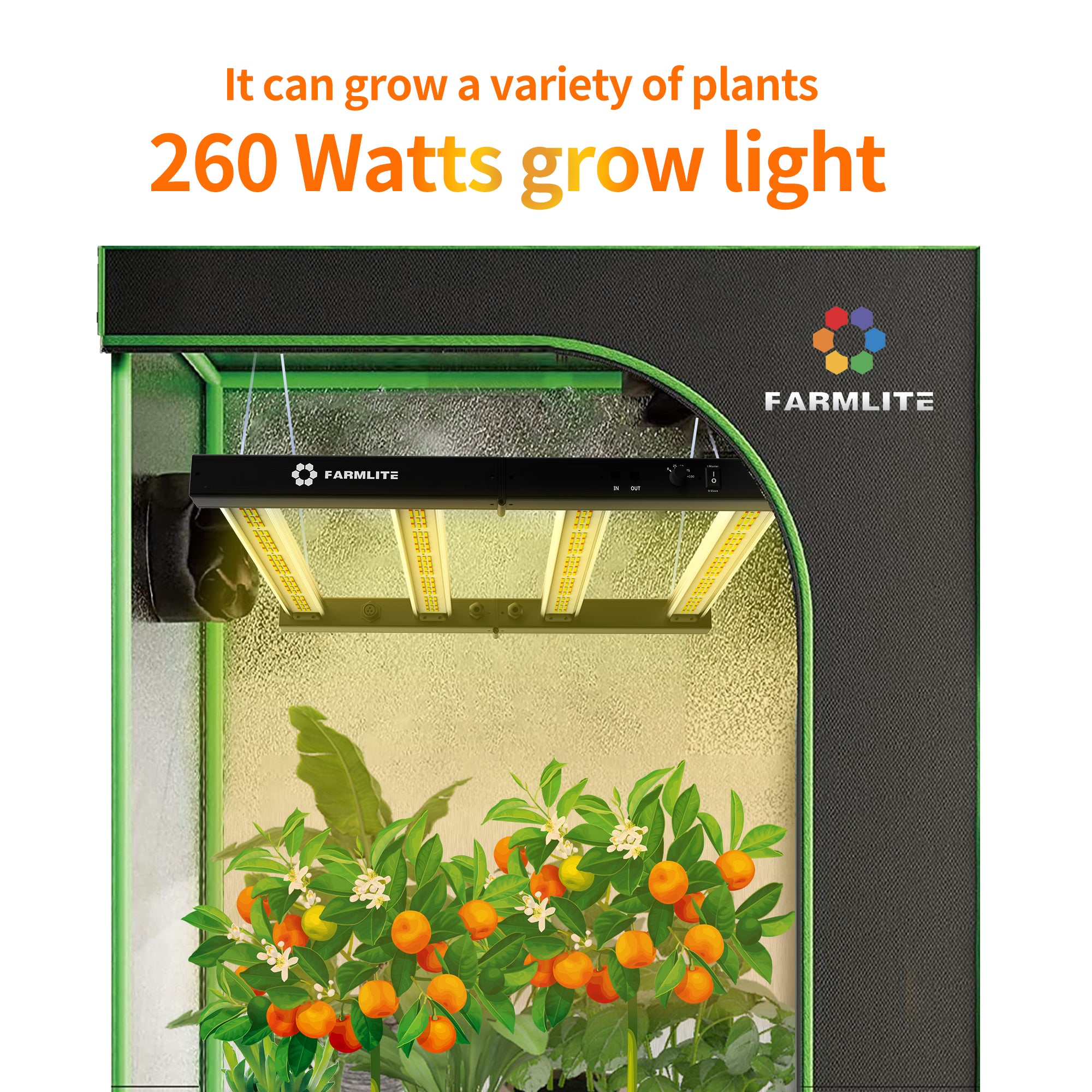 Grow Light FARMLITE Grow Lights for Indoor Plants 260Watts Full Spectrum LED Growing Light Plant Hanging Growing Bar Lamps Seedling Daisy Chain Dimmable Board 3x4ft Coverage